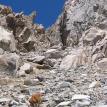 Searching Mt. Minchell