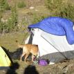 River in tent