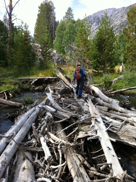 Crossing backcountry creek